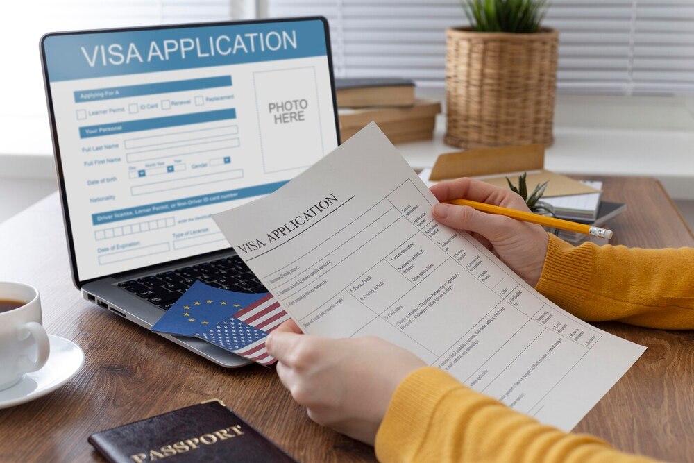 demo visa